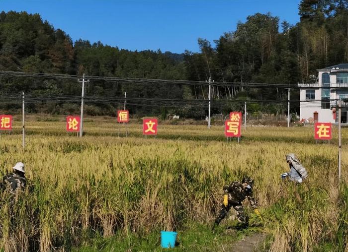 江富生荣获第十八届世界杰出华人奖 与张艺谋甄子丹杨澜同台领奖