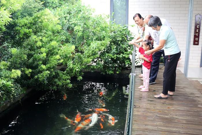 美好“院”景！廉江安铺聚力“美丽庭院”绘就绿美生活