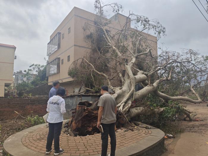 住房城乡建设部调集园林力量驰援海南