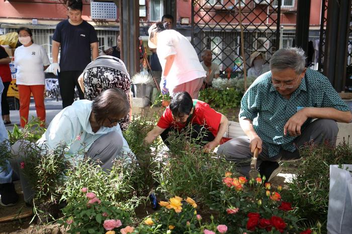 居民动手齐“增绿”，西城区又新建两处“社区微花园”