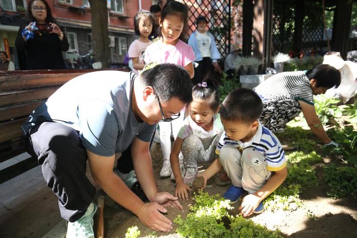 居民动手齐“增绿”，西城区又新建两处“社区微花园”