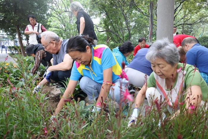 居民动手齐“增绿”，西城区又新建两处“社区微花园”