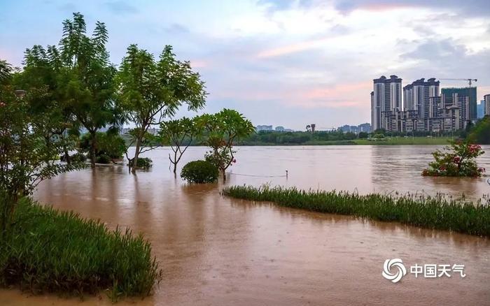 广西部分高温+局地大雨暴雨雷暴大风！ 接下来的天气有点“任性”  台风“贝碧嘉”将.......