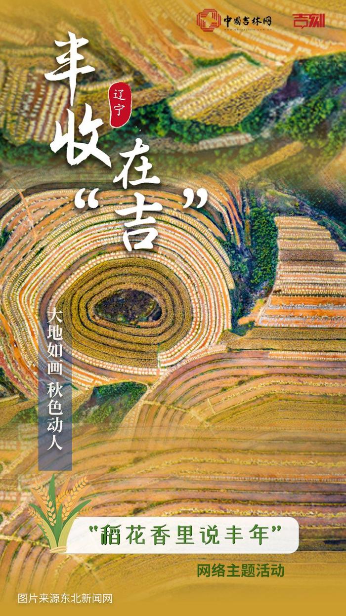 稻花香里说丰年·主题海报①｜大地如画 丰收在“吉”