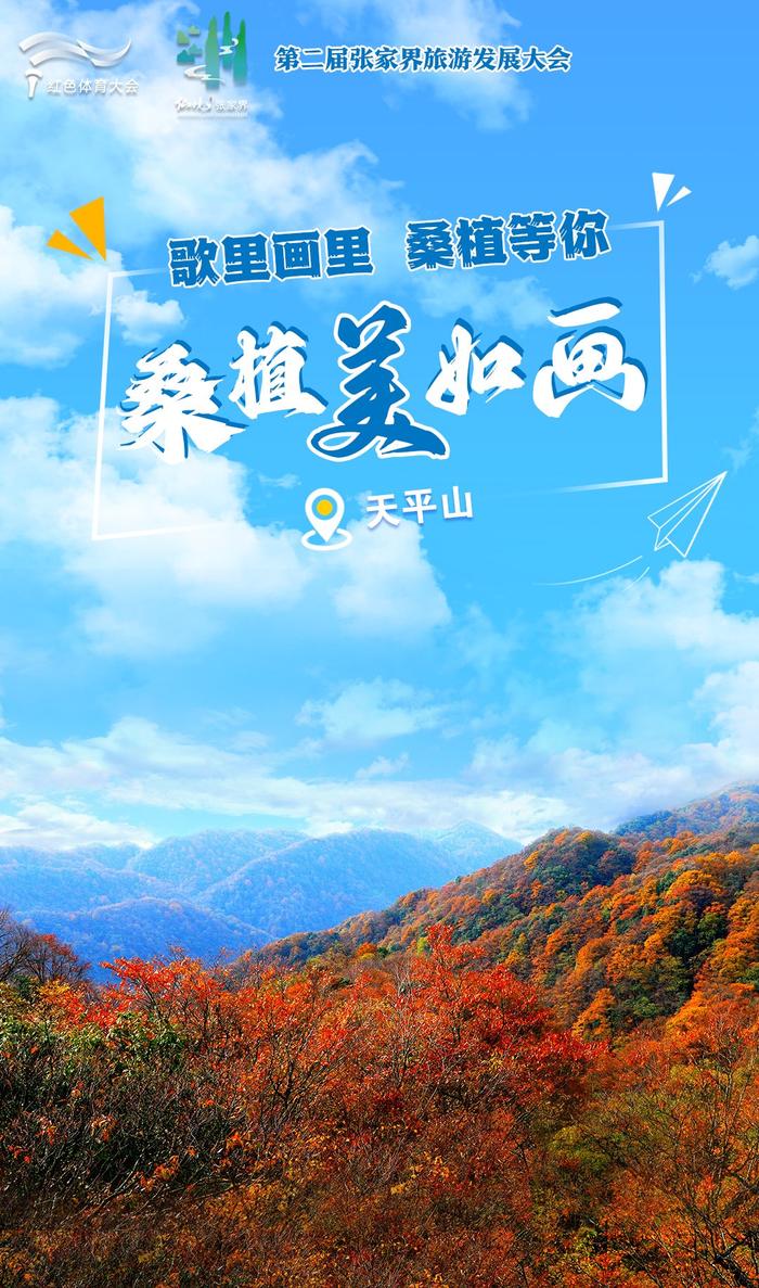 桑植美如画⑦ | 八大公山，走进一个绿色的梦