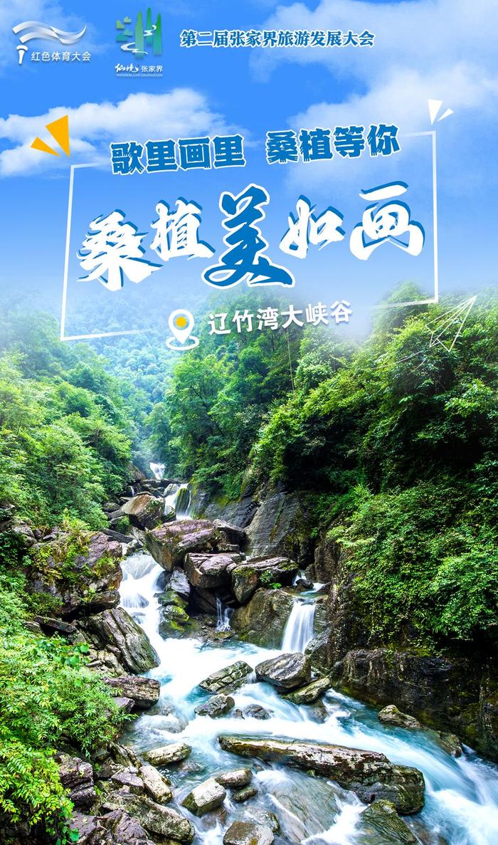 桑植美如画⑦ | 八大公山，走进一个绿色的梦