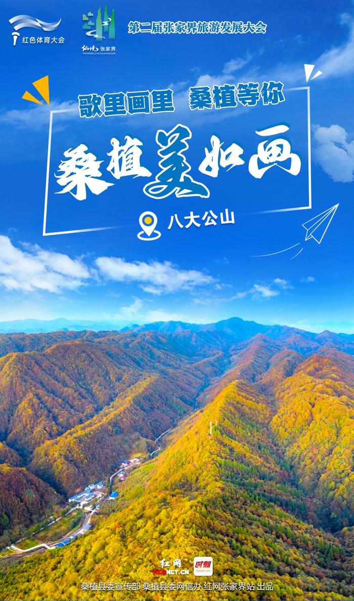 桑植美如画⑦ | 八大公山，走进一个绿色的梦