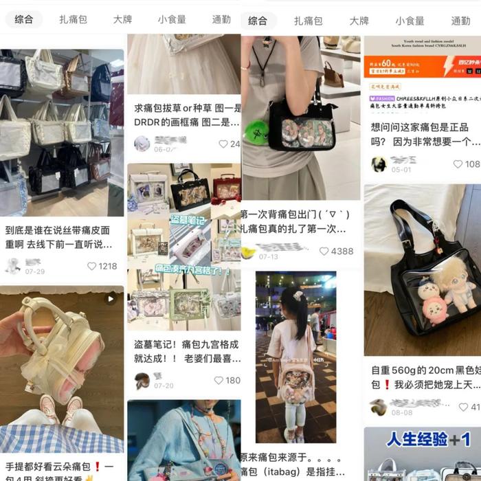 图源:小红书