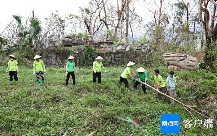 台风肆虐后的海南热带野生动植物园怎样了？何时恢复开园？