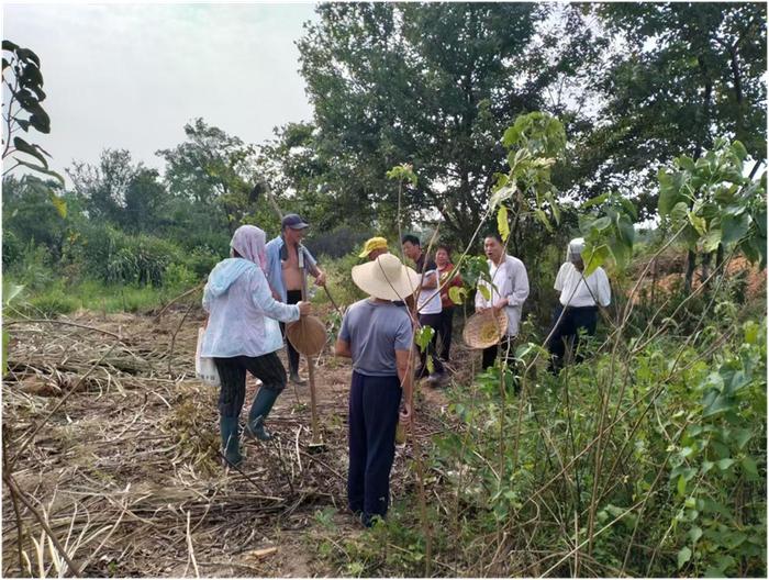 怀宁县高河镇凌桥社区：土地流转助力乡村振兴