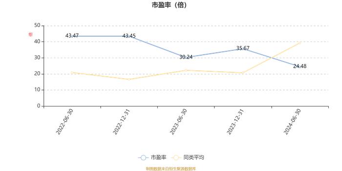 国金新兴价值混合A：2024年上半年换手率达544.2%