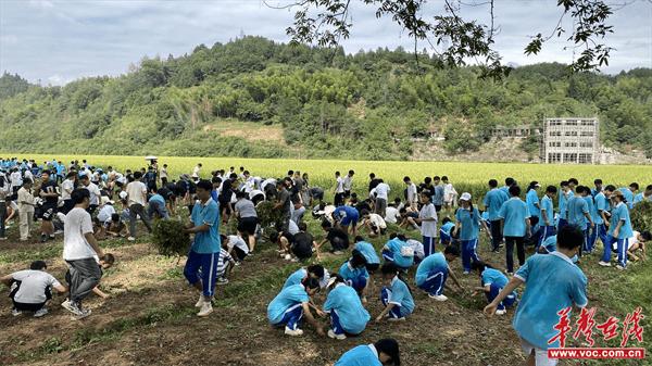 怀化市辰溪县民族中学举行劳动教育实践基地启动仪式