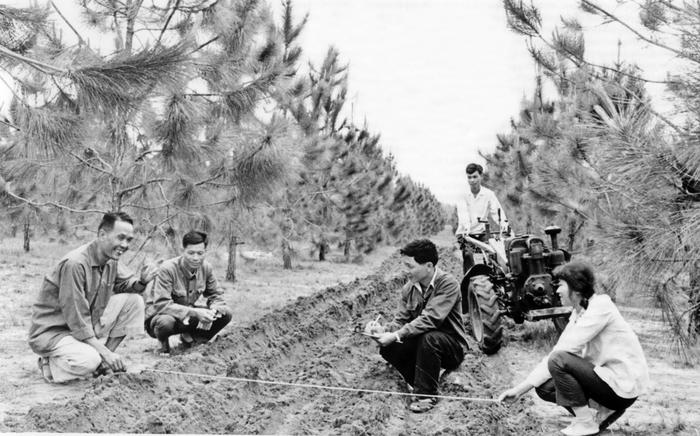 非凡70年·致敬奋斗者丨第一代雷林人祁述雄：雷州“绿色事业”的开拓者