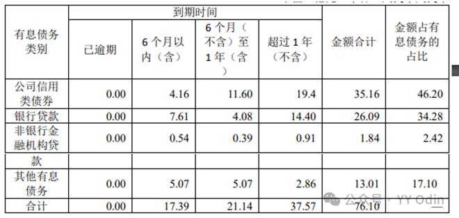 城投有息债务分类中的“其他”是什么？