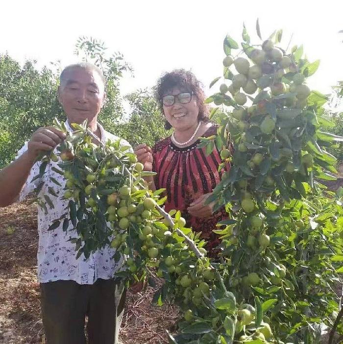 线下探店推销记