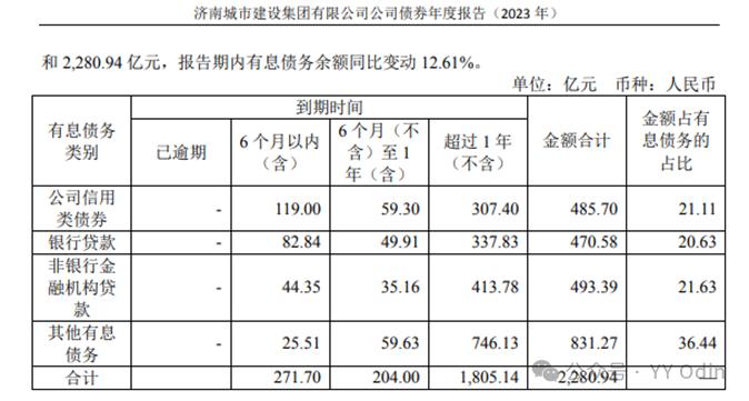 城投有息债务分类中的“其他”是什么？