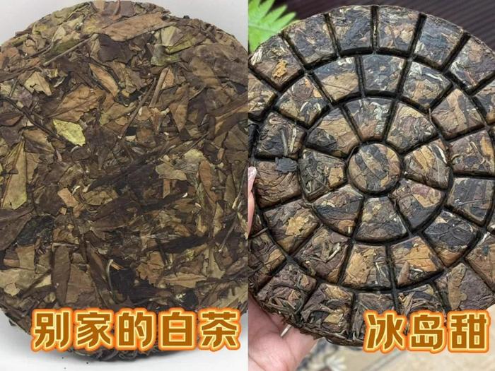 免费试喝！好喝再留下！百年古树芽尖，海拔1800米冰岛产区，国家制茶工程师监制，仓藏级！