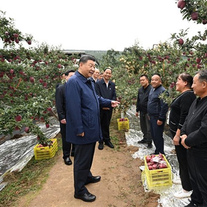 凤凰资讯：澳门今晚必中一肖一码一“陇原沃土：甘肃教育发展纪实” 甘肃 总书记 黄河 祁连山 生态 进行时 故事 马场 莫高窟 洮河 sina.cn 第2张