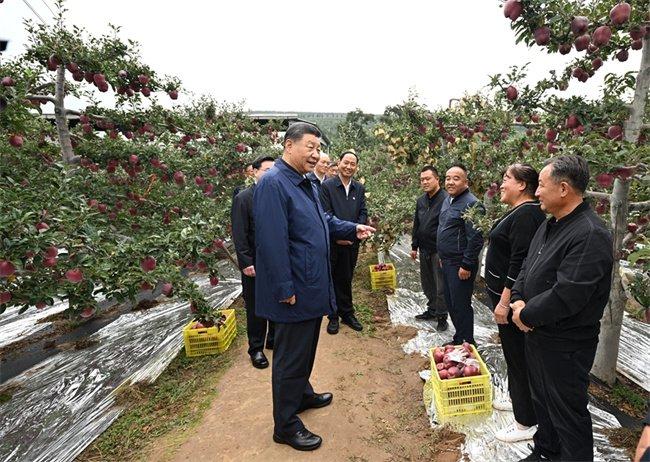 凤凰资讯：澳门今晚必中一肖一码一“陇原沃土：甘肃教育发展纪实”