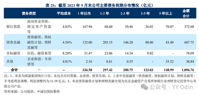 城投有息债务分类中的“其他”是什么？