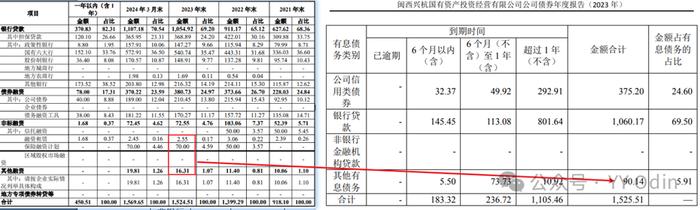 城投有息债务分类中的“其他”是什么？