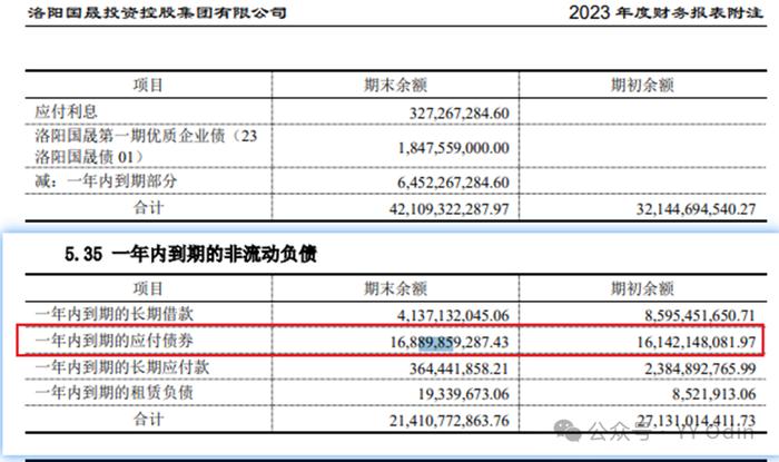 城投有息债务分类中的“其他”是什么？