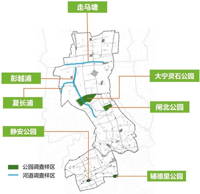 静安水下“绿宝石”：浮游植物的神秘世界