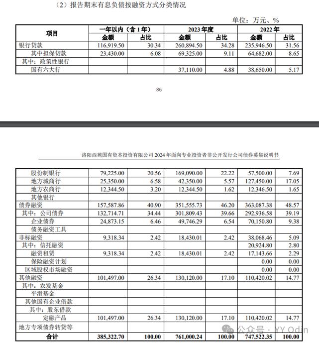 城投有息债务分类中的“其他”是什么？