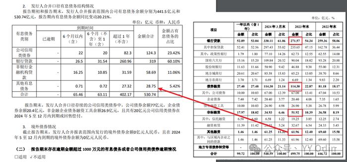 城投有息债务分类中的“其他”是什么？