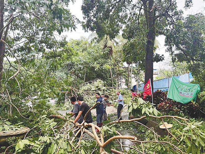 海南农垦各企业职工群众积极自救 “快些，让灾后重建再快些！”