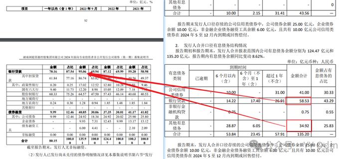 城投有息债务分类中的“其他”是什么？