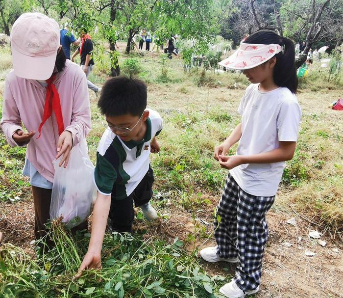 秋日丰收季，好事会“花”生——郑州市管城回族区外国语小学收花生主题劳动实践活动