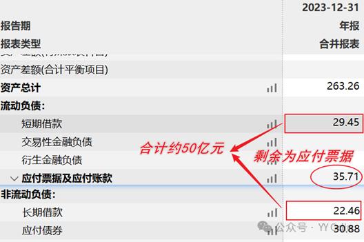 城投有息债务分类中的“其他”是什么？