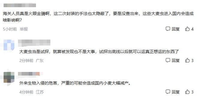 海关在泡面杯中查获800条大麦虫，为福州关区首次截获