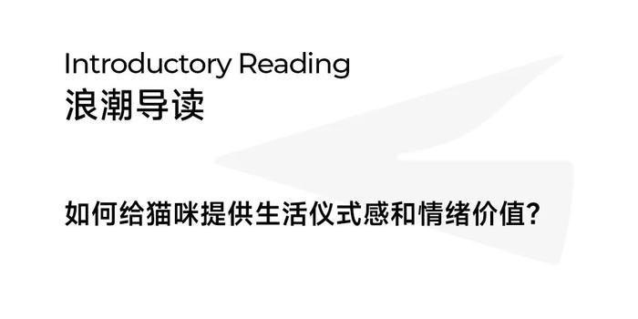 当养己式养宠开始流行，雀巢普瑞纳珍致如何为猫咪提供极致味蕾享受？