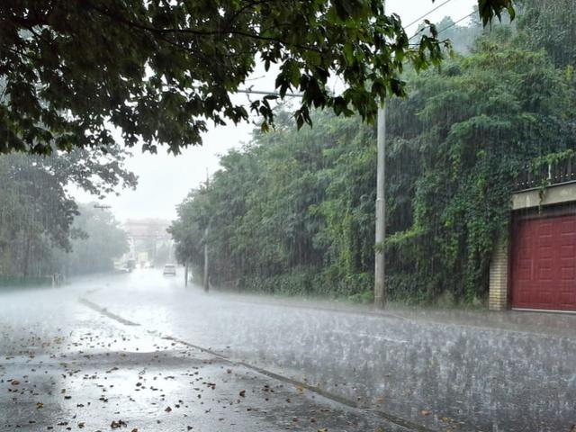 台风“贝碧嘉”来了，开车请注意→