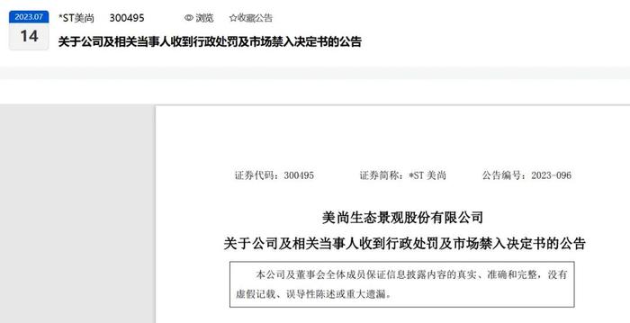 因你公司招股说明书、定期报告及发行文件存在虚假记载，实控人终身禁止！