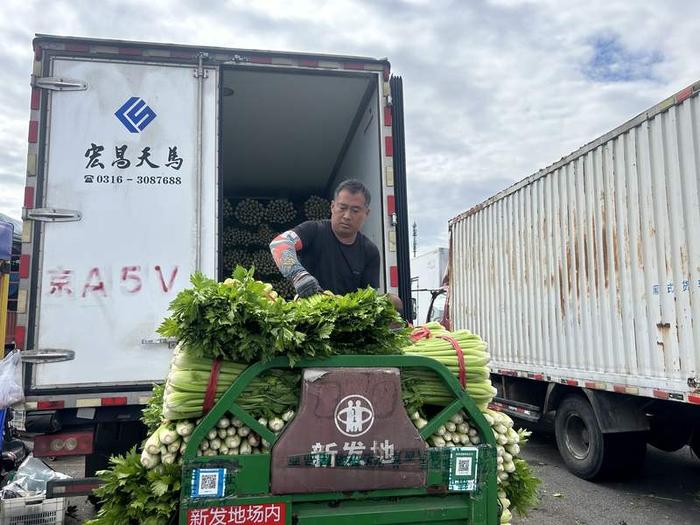 节前新发地供应充足，部分蔬菜价格略有上浮