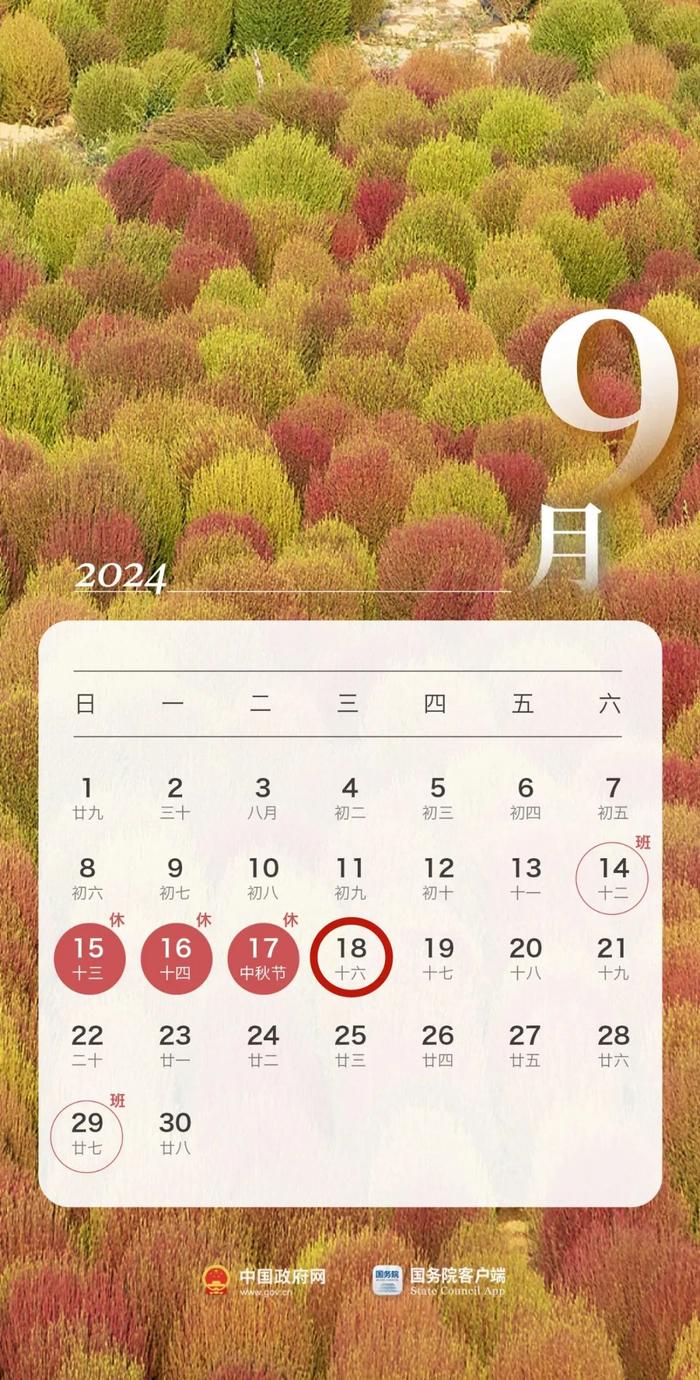 9月征期有变化！申报纳税再提醒