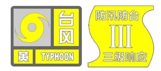 防御台风“贝碧嘉”，黄浦12支抢险队伍集结，7000余人已撤离！