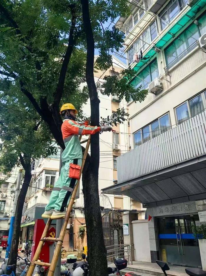 防台物资充足、应急队伍集结，普陀全力保障城市安全运行