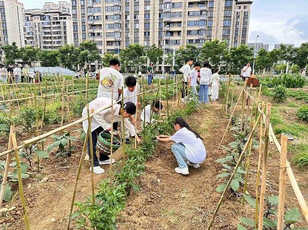 48中肥东分校独特模式点亮劳动教育之光