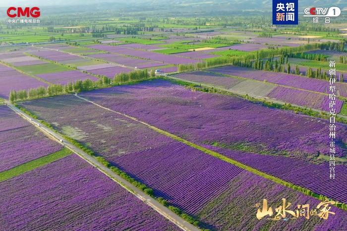 八闽大地 大美新疆 与《山水间的家》来一场乡村漫游！