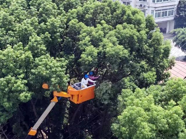 守护台风天里的万家灯火，松江供电人全力应对