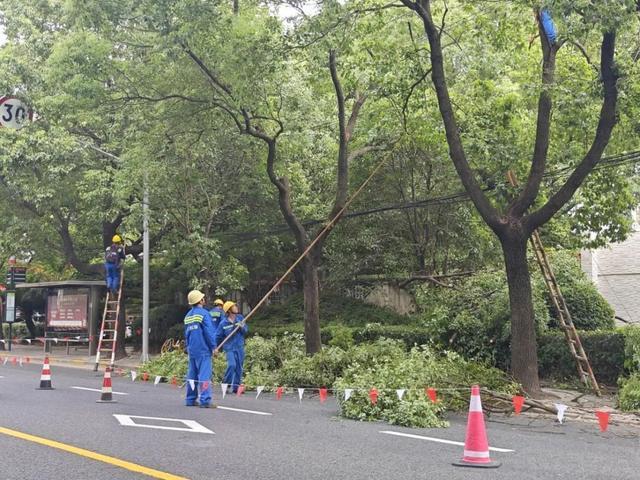 “贝碧嘉”将至，绿化市容行业全力防汛防台