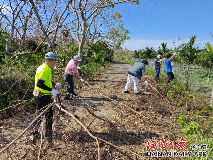 海南日报报业集团应急志愿队伍驰援海口大致坡镇