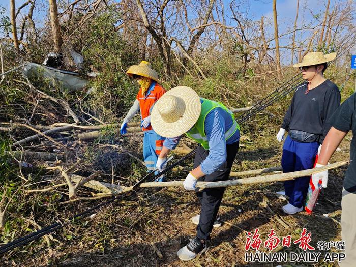 海南日报报业集团应急志愿队伍驰援海口大致坡镇