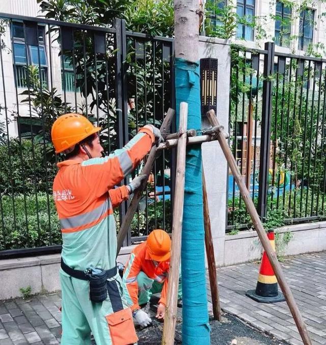 “贝碧嘉”将至，绿化市容行业全力防汛防台