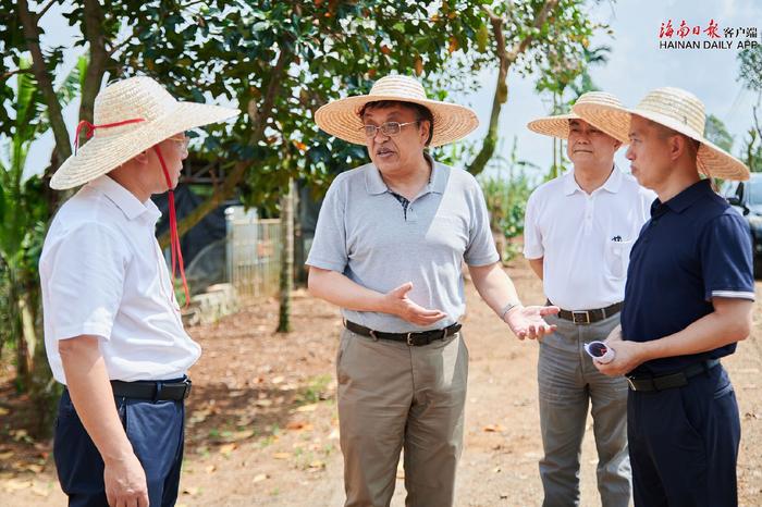 冯飞在定安县检查指导灾后恢复重建工作并看望慰问受灾群众和省直单位支援灾后恢复重建的党员干部