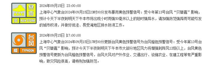 最新！“贝碧嘉”即将登陆上海南汇新城！强台风级，部分轨道交通停运→